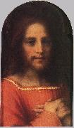 Andrea del Sarto Christ the Redeemer ff Spain oil painting artist